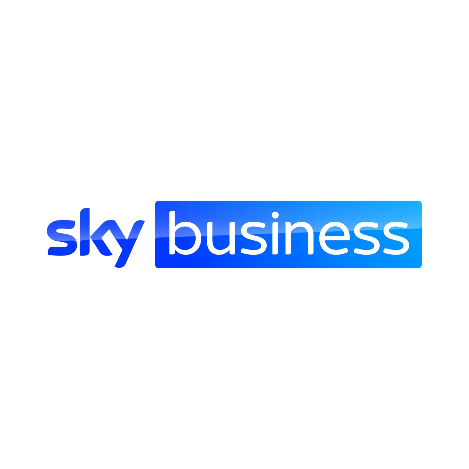 Sky Business